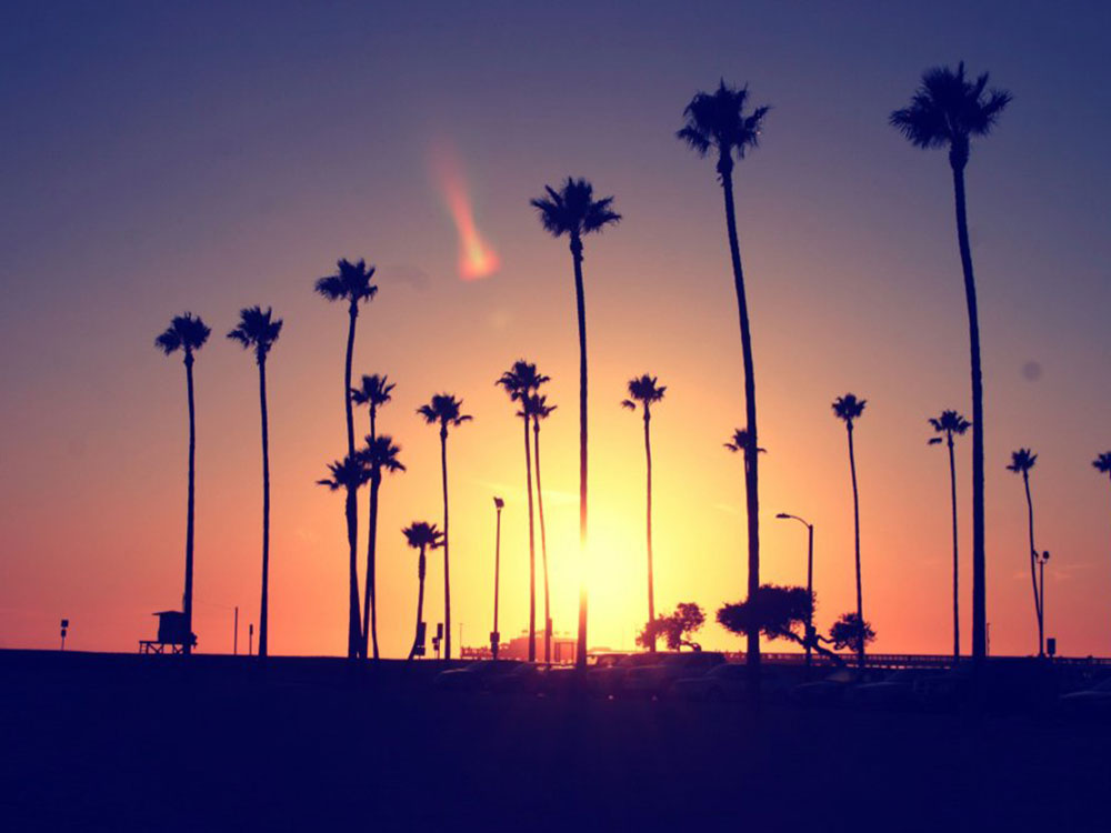 California Dreaming