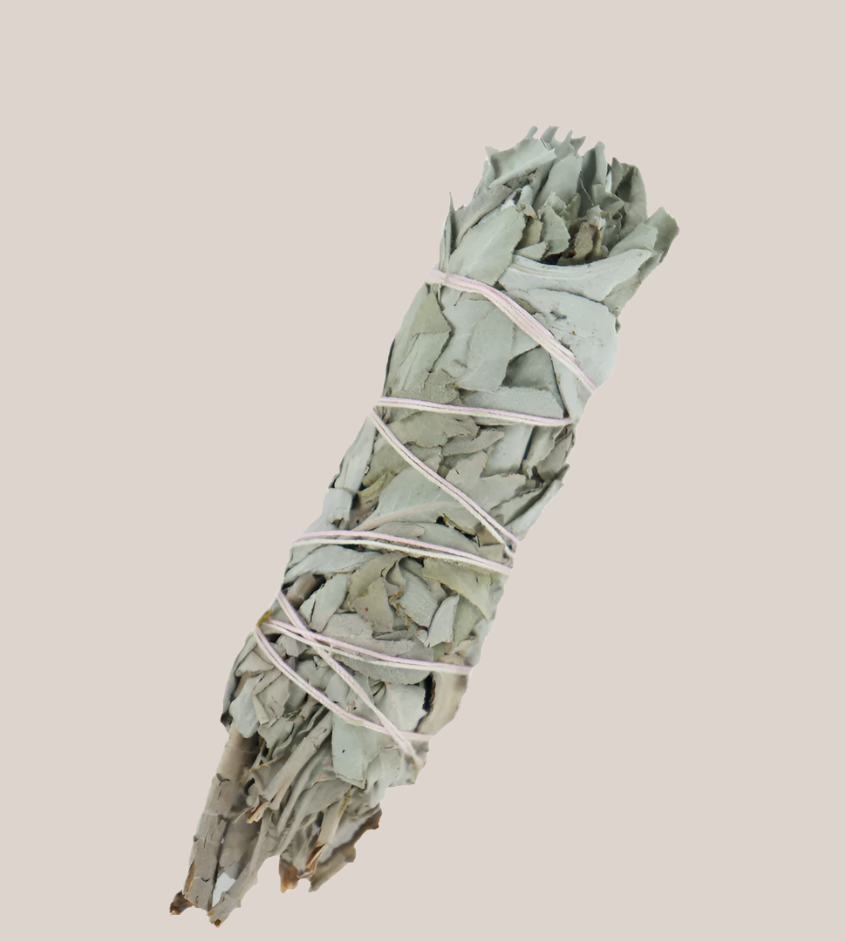 White Sage Bundle